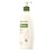 Aveeno Aveeno Moisturizing Lotion 18 oz., PK12 1003844 - alternate 9